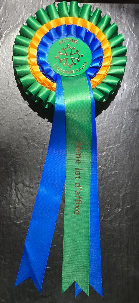CONCOURS CANIN à TOULOUSE